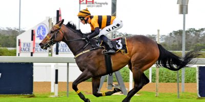 R4 Yvette Bremner Lyle Hewitson Laws Of Succession-Fairview 18-January-2019-1-PHP_1319