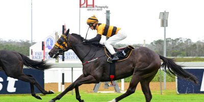 R5 Yvette Bremner Lyle Hewitson March Music-Fairview 1-February-2019-1-PHP_4473