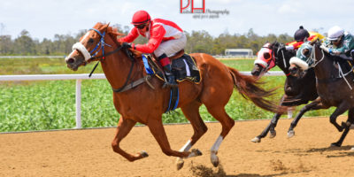 R1 Jacques Strydom Shannon Devoy Who Knows-Fairview 7-November-2018-1-PHP_7192
