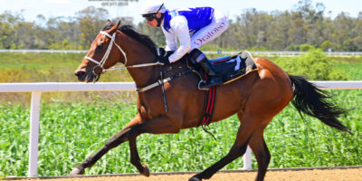 R1 Yvette Bremner Lyle Hewitson Rare Spice-Fairview 2-November-2018-1-PHP_6701