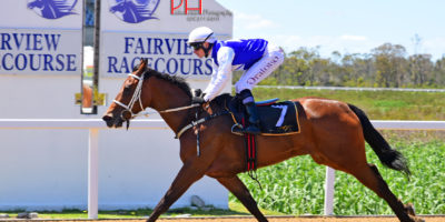 R1 Yvette Bremner Lyle Hewitson Rare Spice-Fairview 2-November-2018-1-PHP_6702