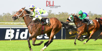 R7 Yvette Bremner Lyle Hewitson Quinlan-Fairview 30-November-2018-1-PHP_0864