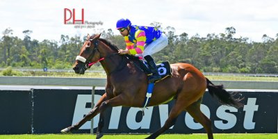 R1 Alan Greeff-Aldo Domeyer-Foreign Source-Fairview 1-March-2019-1-PHP_8784