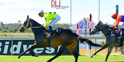 R4 Vaughan Marchall-MJ Byleveld-Charge D'Affaires-Fairview 1-March-2019-1-PHP_8963