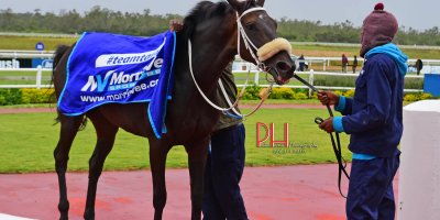 R6 Tara Laing Chase Maujean Hither Green-Fairview 8-March-2019-1-PHP_0380
