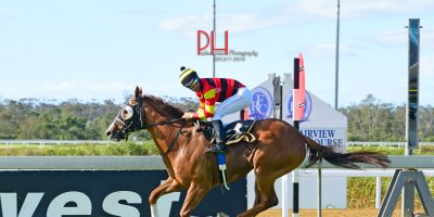 R7 Candice Bass-Robinson -Aldo Domeyer-What A Summer-Fairview 1-March-2019-1-PHP_9065