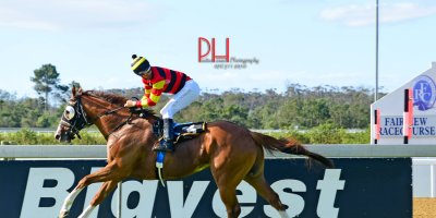 R7 Candice Bass-Robinson -Aldo Domeyer-What A Summer-Fairview 1-March-2019-1-PHP_9066