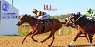 R7 Yvette Bremner Lyle Hewitson Silver Blade-Fairview 1-April-2019-1-PHP_3386