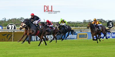 R8 Alan Greeff Greg Cheyne In A Perfect World-Fairview 19-April-2019-1-PHP_5722