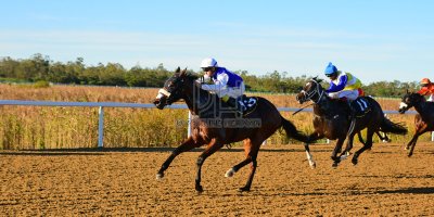 R7 Alan Greeff Teaque Gould Mega Scene- 10 May 2019-Fairview Racecourse-PHP_8645