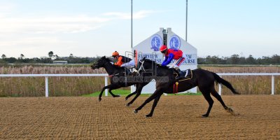 R8 Yvette Bremner Lyle Hewitson Believethisbeauty- 17 May 2019-Fairview Racecourse-PHP_0312