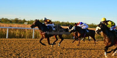 R8 Yvette Bremner Lyle Hewitson Silva Key- 10 May 2019-Fairview Racecourse-PHP_8708