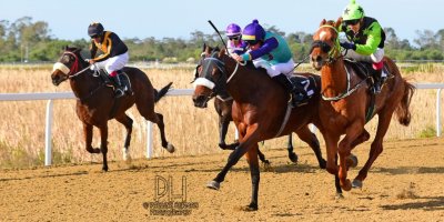 R4 Five Star Racing Shadlee Fortune Victory March- 28 June 2019-Fairview Racecourse-1-PHP_7964