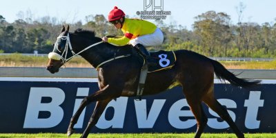 R5 Tara Laing Chase Maujean Para Handy- 26 July 2019-Fairview Racecourse-1-PHP_1869