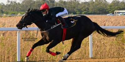 R6 Yvette Bremner Lyle Hewitson Highland Hero- 21 June 2019-Fairview Racecourse-1-PHP_7511
