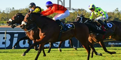 R8 Alan Greeff Bernard FaydH'erbe Rings and Things- 7 June 2019-Fairview Racecourse-1-PHP_5216