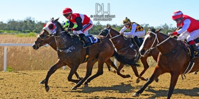 R1 Jacques Strydom Greg Cheyne Toran's Girl- 5 August 2019-Fairview Racecourse-1-PHP_3769
