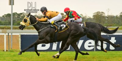 R3 Grant Paddock Teaque Gould Fort Carol- 2 August 2019-Fairview Racecourse-1-PHP_3261