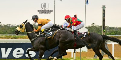 R3 Grant Paddock Teaque Gould Fort Carol- 2 August 2019-Fairview Racecourse-1-PHP_3263