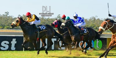 R5 Grant Paddock Jarl Zechner Rock The Cot-Fairview Racecourse-23 August 20191-PHP_5906