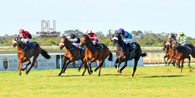 R7 Andre Nel Anthony Andrews Vikram-Fairview Racecourse-30 August 20191-PHP_7059