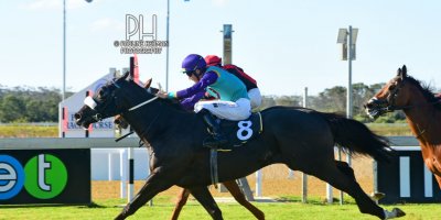 R7 Andre Nel Anthony Andrews Vikram-Fairview Racecourse-30 August 20191-PHP_7065
