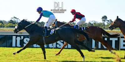 R7 Andre Nel Anthony Andrews Vikram-Fairview Racecourse-30 August 20191-PHP_7067