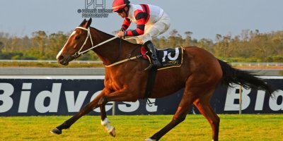 R8 Duncan McKenzie Chase Maujean Bell Tower- 2 August 2019-Fairview Racecourse-1-PHP_3647