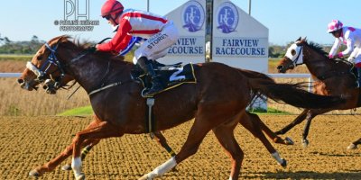 R7 Jacques Strydom Collen Storey Sao Paulo-Fairview Racecourse-2 September 20191-PHP_7518