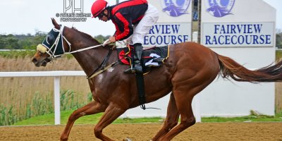 R6 Tara Laing Chase Maujean Bold Viking-Fairview Racecourse-4 October 20191-PHP_2490
