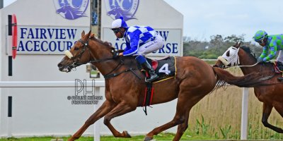 R7 Alan Greeff Charles Ndlovu Stream of Kindness-Fairview Racecourse-4 October 20191-PHP_2538