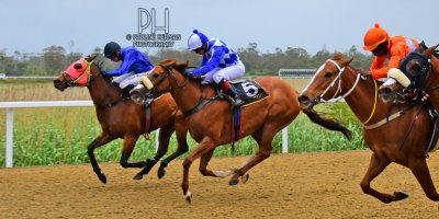 R8 Jacques Strydom Ryan Munger Honey Suite-Fairview Racecourse-21 October 20191-PHP_4420