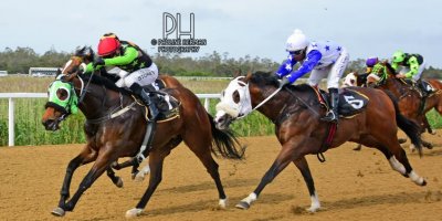 Fairview Racecourse - R7 Five Star Racing Collen Storey The Greek Soldier01 November 2019-1-PHP_6455