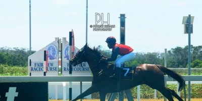 R1 Juan Nel S Kolisile Natural Jade-Fairview Racecourse-24 JAN 2020-1-PHP_0128