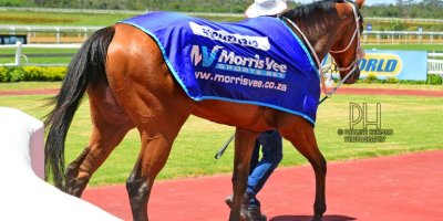 R3 Tara Laing Chase Maujean Don't Be Blue-Fairview Racecourse-24 JAN 2020-1-PHP_0287