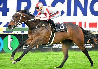 Top line-up for Guineas
