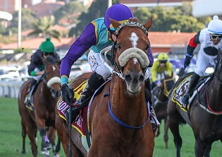 33 remain in Durban July contention